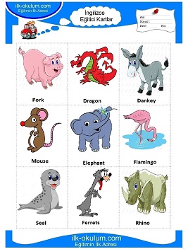 ingilizce Hayvanlar flashcard-eğitici kartlar 